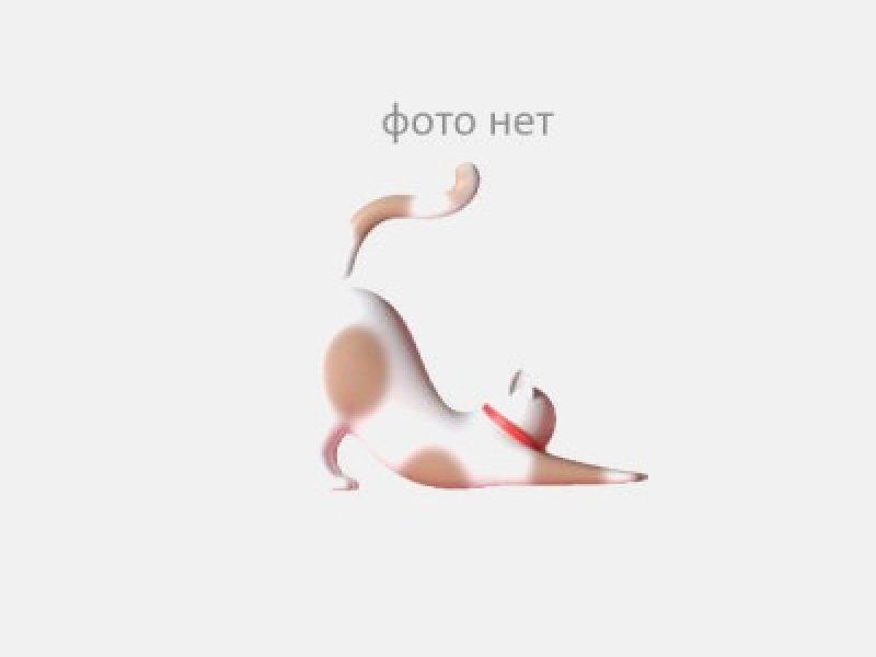 Отношение студентов к энергетическим напиткам